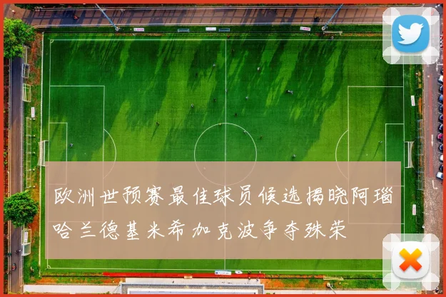 欧洲世预赛最佳球员候选揭晓阿瑙哈兰德基米希加克波争夺殊荣
