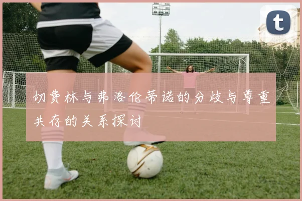 切费林与弗洛伦蒂诺的分歧与尊重共存的关系探讨
