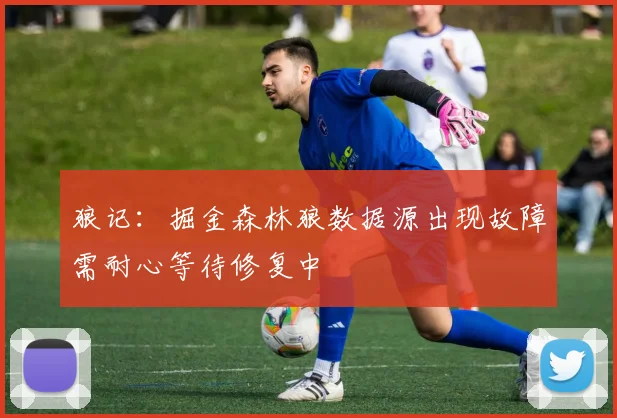 狼记：掘金森林狼数据源出现故障需耐心等待修复中