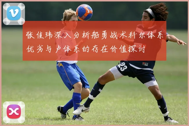 张佳玮深入分析船勇战术科尔体系优劣与卢体系的存在价值探讨